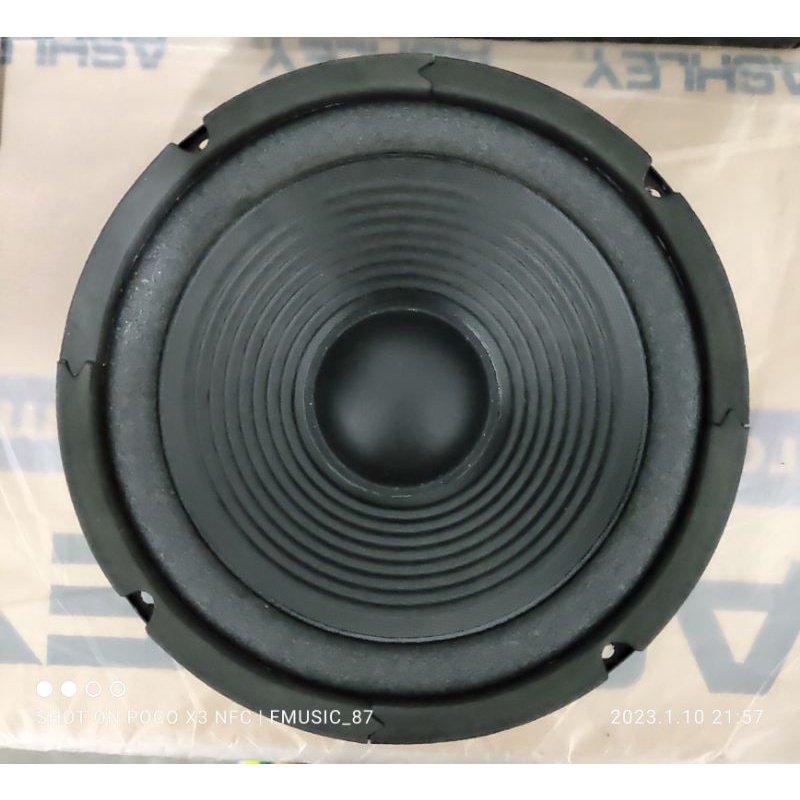 Speaker ACR 818W