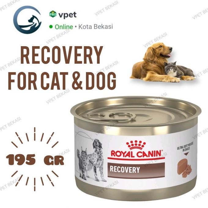 Discount Dog and Cat Food Royal Canin Recovery 195 gr /PERAWATAN KUCING LENGKAP/PERAWATAN KUCING PERSIA/PERAWATAN KUCING KECIL/PERAWATAN KUCING HAMIL