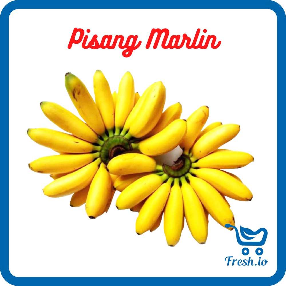 

Pisang Marlin