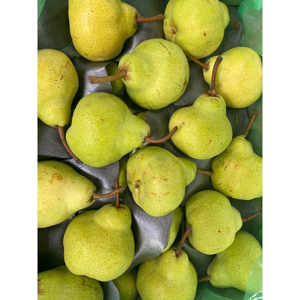 

pear packham kriuk manisss