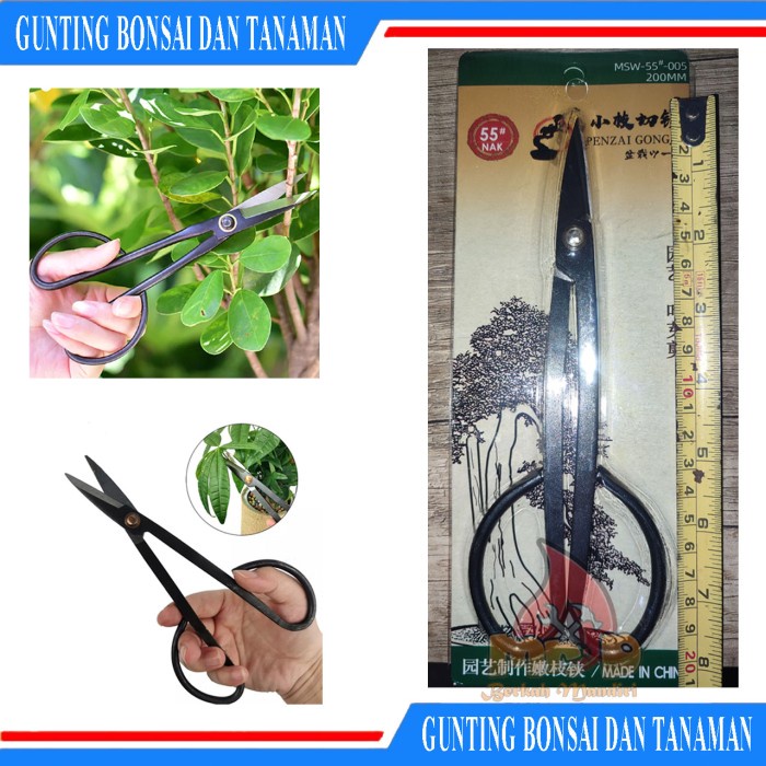 Gunting Daun Ranting Bonsai Tanaman, Gunting Pruning China