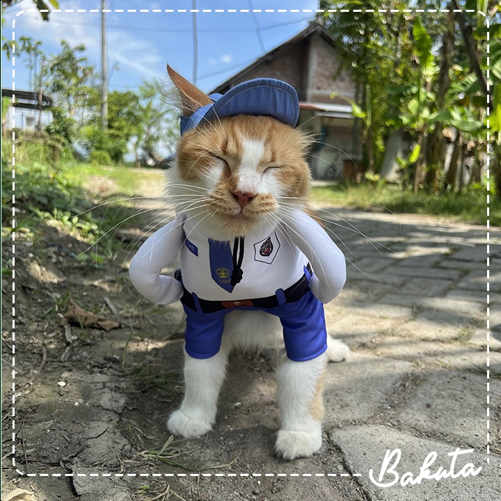 Kostum Model berdiri untuk kucing dan anjing Lucu 𝗞𝗼𝘀𝘁𝘂𝗺 𝗔𝗻𝗮𝗸 𝗦𝗲𝗸𝗼𝗹𝗮𝗵 / Kostum kucing Murah / Baju Kucing Tangerang size S-XL