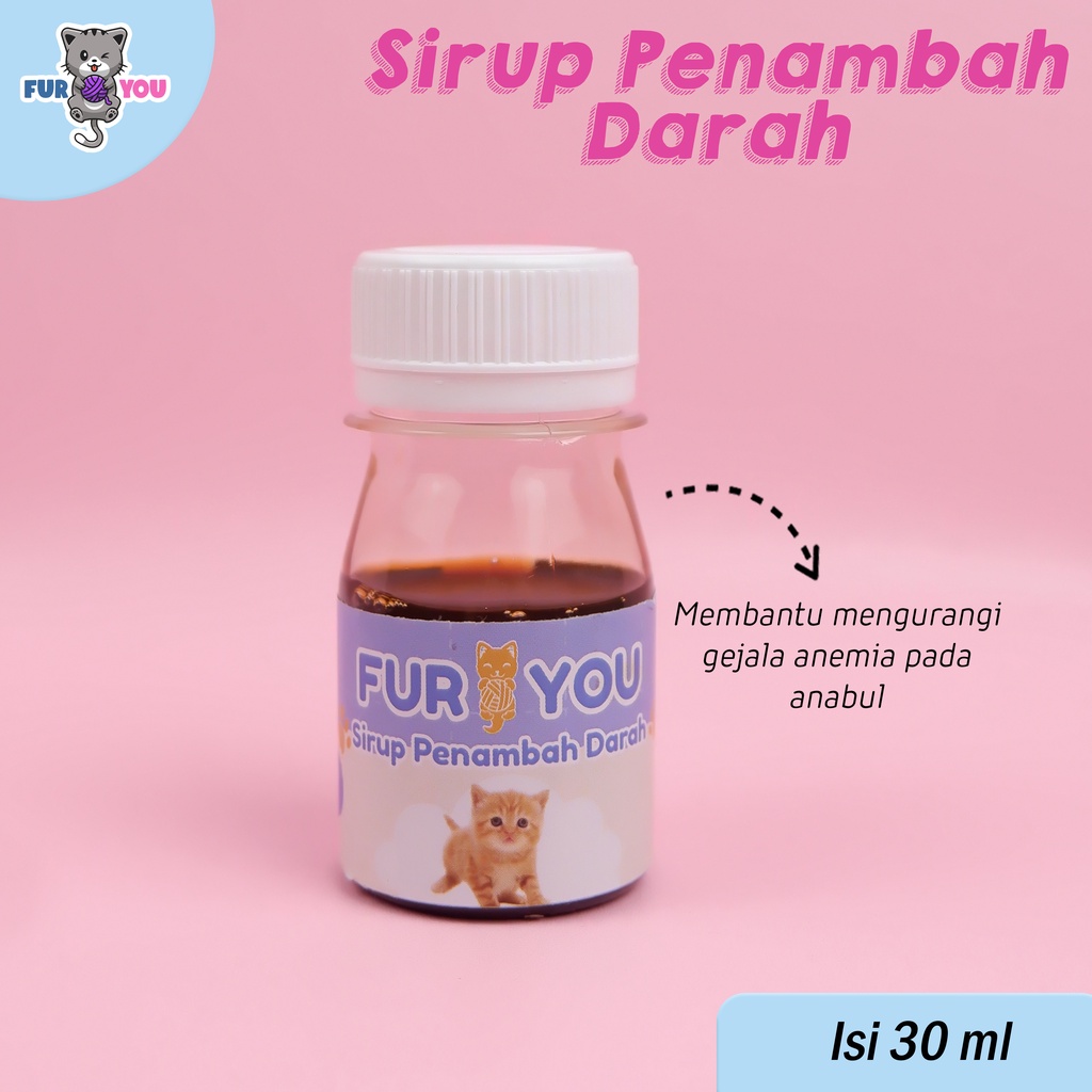 Fur You Sirup Penambah Darah Kucing Pucat Anemia Anabul Kekurangan Darah Gejala Parasit Darah