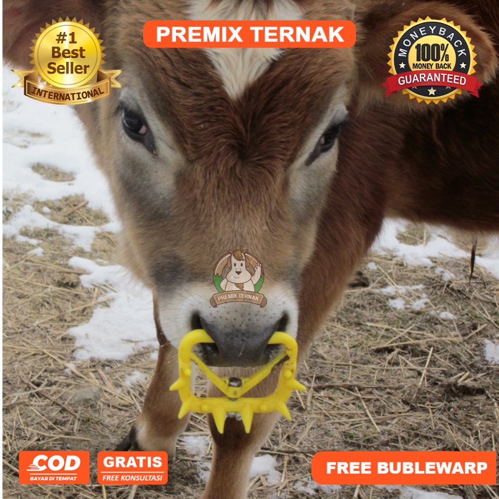 Alat Penyapih Anak Sapi Kerbau Kuda - Calf Weaner Nose Ring - Alat penyapih pedet - Premix Ternak