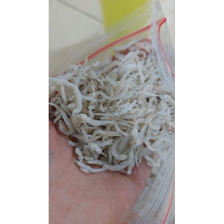 

Teri Medan
