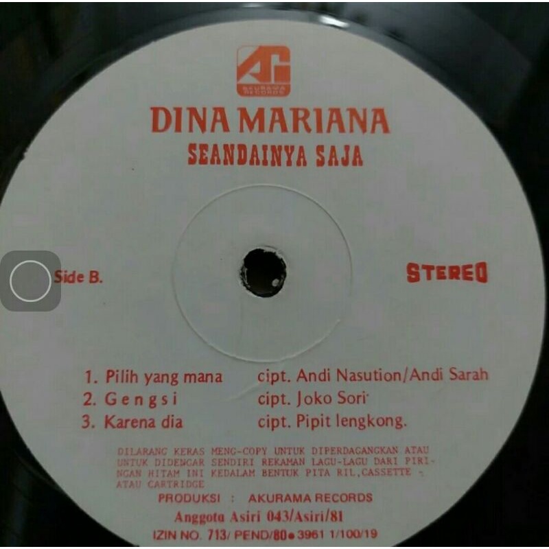 Vinyl Piringan Hitam 12 inch Dina Mariana