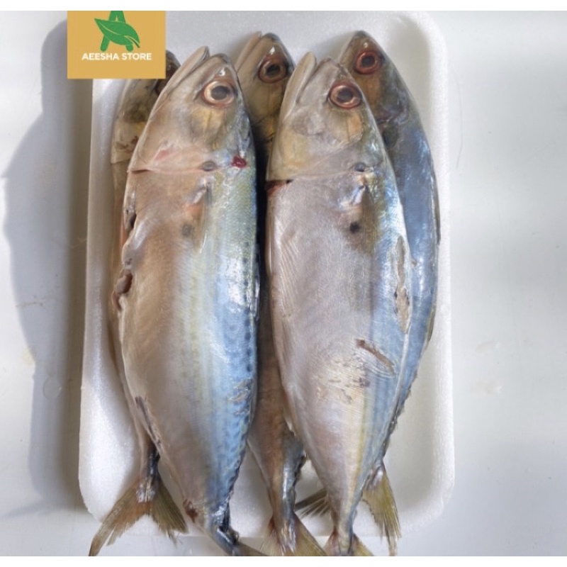 

Kembung Banjar 1kg
