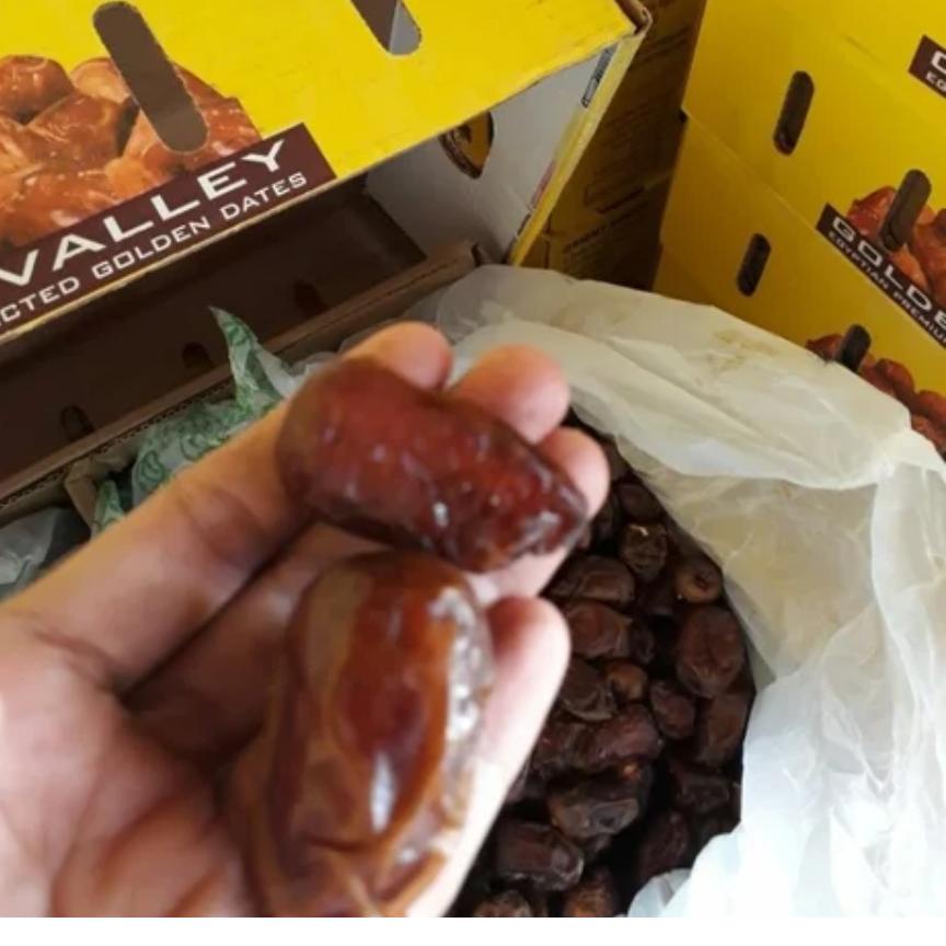 

Best _ Kurma MESIR Premium / Kurma Golden Valley Gizza Dates Mesir Madu Original Super Fresh / Oleh Oleh Haji dan Umroh ♪