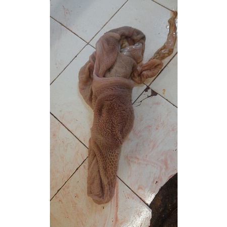 

Babat kambing 1kg Fresh