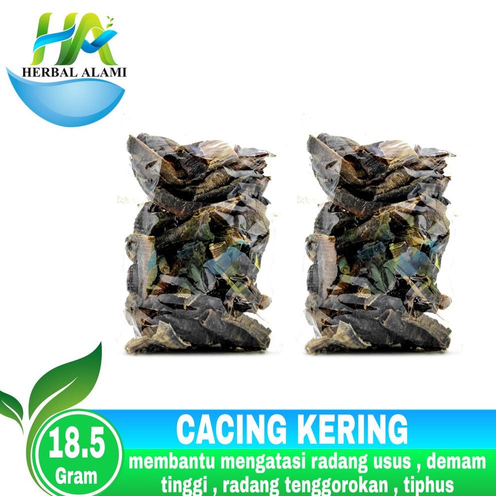 AFZ8 Cacing Tanah Kering Lumbricus Rubellus 18.5gr Asli - Obat typus Tipes 9635