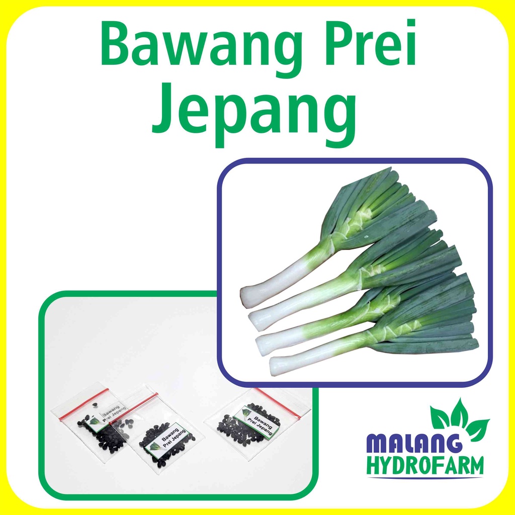 Benih Bawang Prei Jepang Unggulan Berkualitas Biji Bibit repack daun tokyo natsugoro raksasa