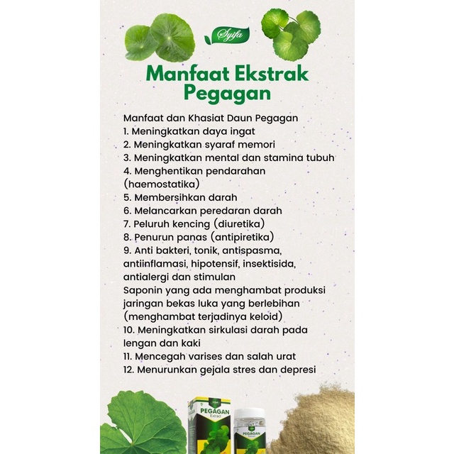 Kapsul Ekstrak Pegagan Obat Suplemen Vitamin Nutrisi Herbal Penambah Peningkat Kecerdasan Konsentrasi Daya Ingat Otak Penurun Panas Demam Anak Dewasa Cerdas Pintar