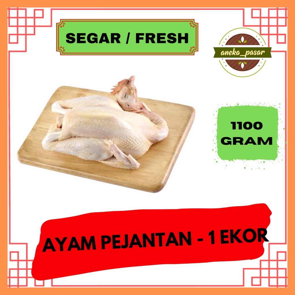 

Ayam Pejantan Fresh / Ayam Potong Segar - Utuh 1100 / 1.1 gram