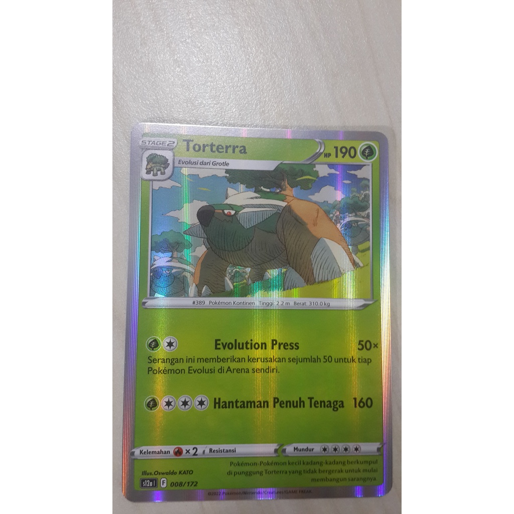 POKEMON TCG INDONESIA TORTERRA HOLOGRAM S12A 008/172
