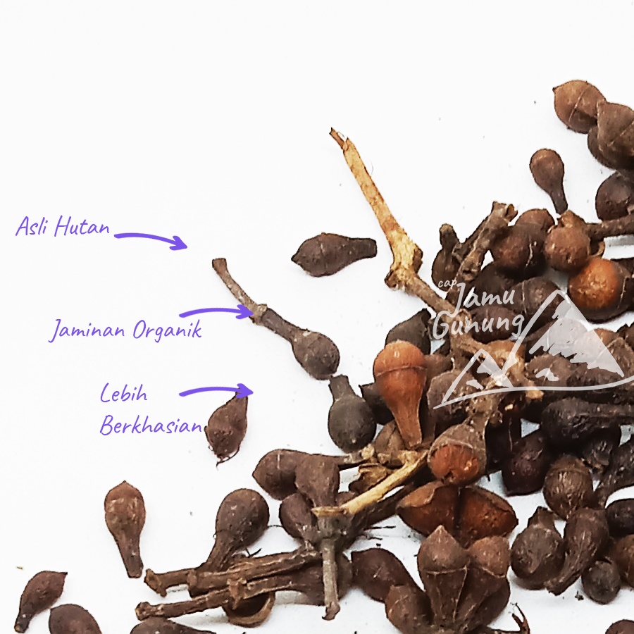 

Ceplikan 1kg / Ceplik Sari Kering Organik