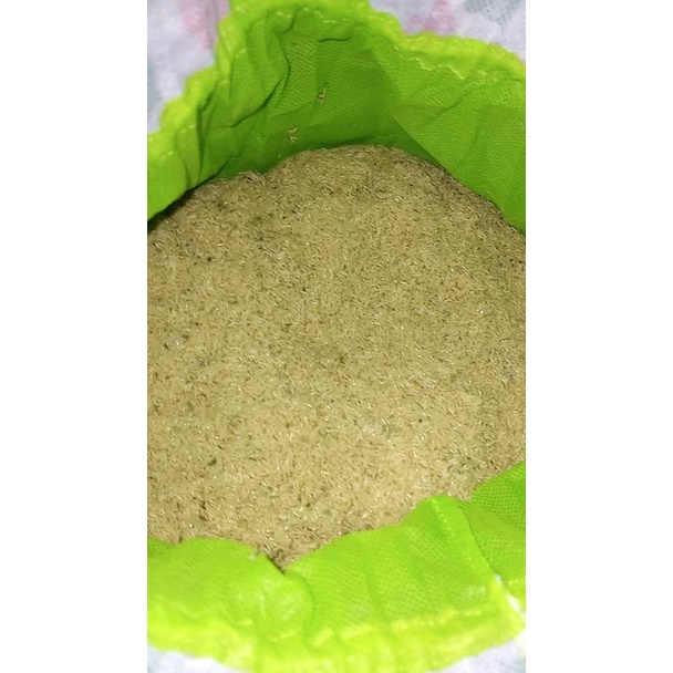 TELUR JANGKRIK ALAM KUALITAS UNGGUL (Packing Besek) 500GRAM RAJAJANGKRIK