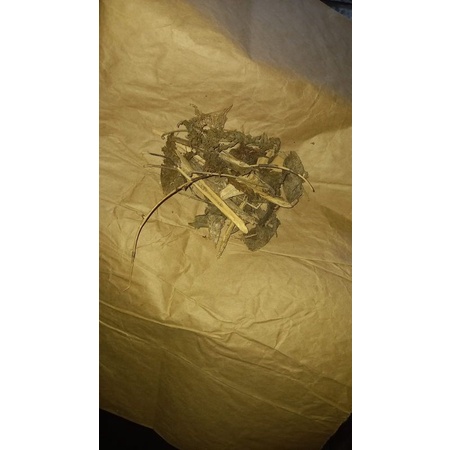 

10 G 50 GR 100 GRAM 七叶莲 QI YE LIAN SCHEFFLERA ARBORICOLA HAYATA ROOT
