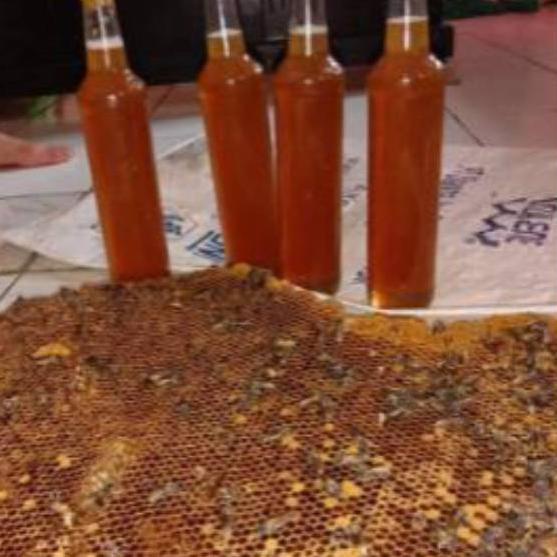 

NEW | KBM|Madu Murni 100% MAdu Odeng Baduy