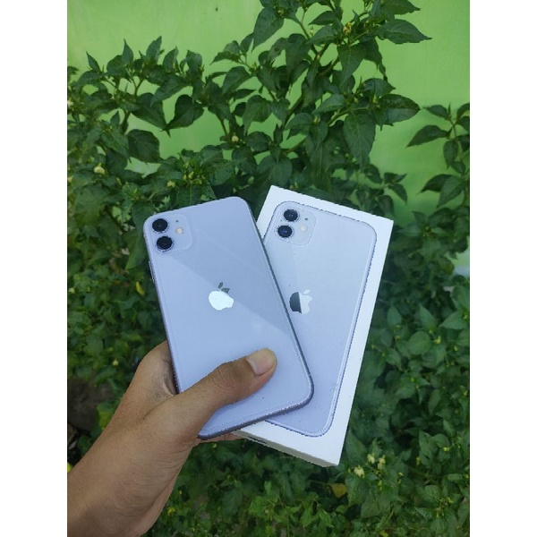 IPHONE 11 256GB IBOX