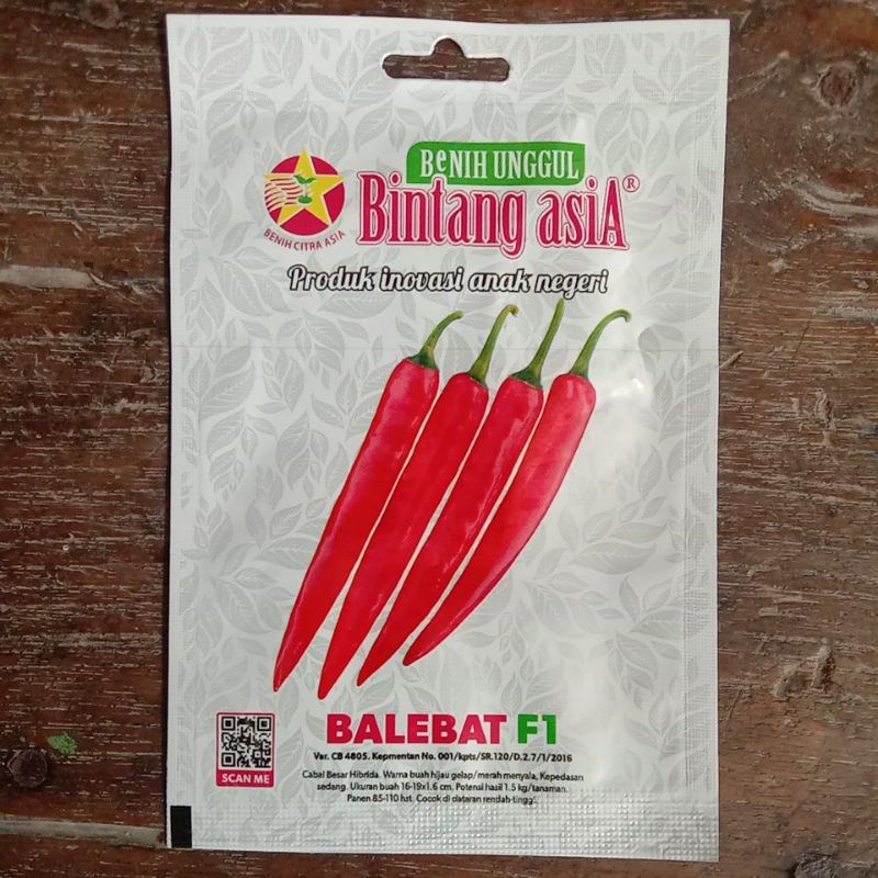 Benih Cabe Besar BALEBAT F1 1 GR✓Bintang Asia