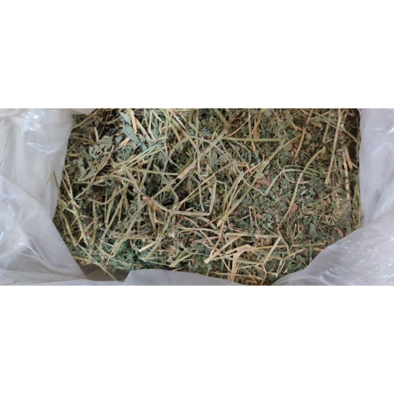 EXOTICGOODS TIMOTHY HAY 2nd CUT 500g MAKANAN KELINCI MAKANAN MARMUT MAKANAN CHINCHILLA