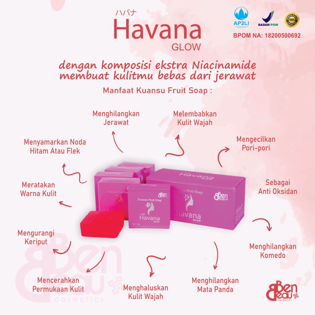 Sabun Whitening Pemutih Penghilang Jerawat Flek Noda Hitam Keriput  - Pencerah Pelembab  Kulit Wajah Muka Kolagen Niacinamide Buah Kuansu Havana Glow Kuansu Fruit Soap BPOM