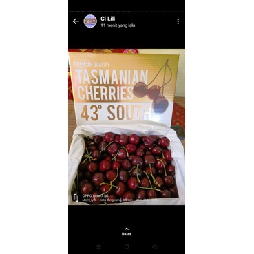 

cherry tasmania 43 south