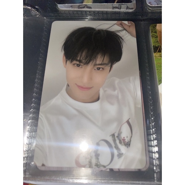 mingyu dior pairing slogan gyudior pc