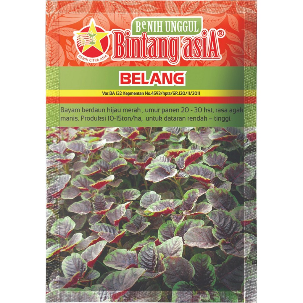 Benih Bayam BELANG 500 Gram Cap Bintang Asia PT Benih Citra Asia Daun Hijau Merah Rasa Agak Manis Co