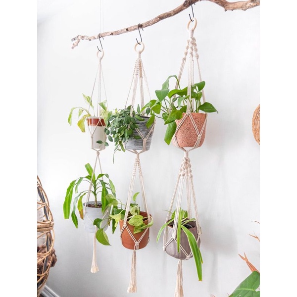 Gantungan Pot Macrame Aesthetic Part 3