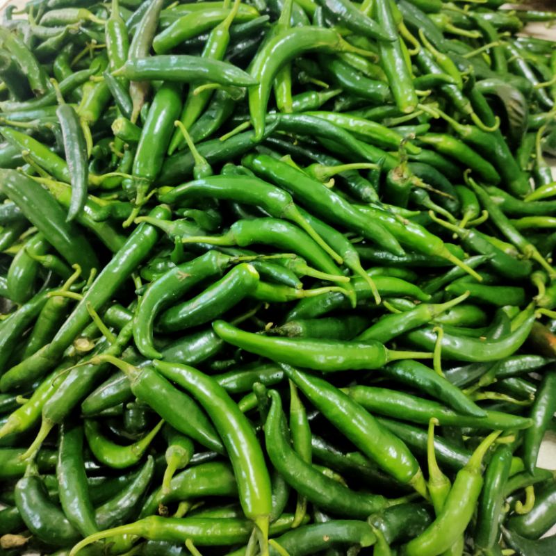 

CABE IJO TW/PATROL 500 GRAM
