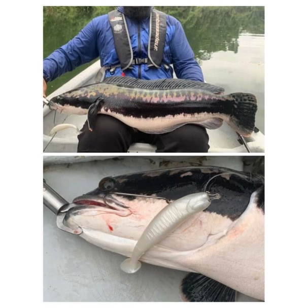 OZMY Silencer Paddle Pop 14cm Eceran + 1Hook Ozmy 7/0