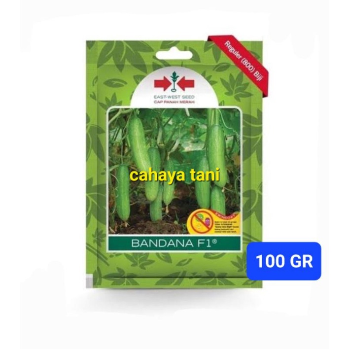 BENIH TIMUN BANDANA 200 BUTIR