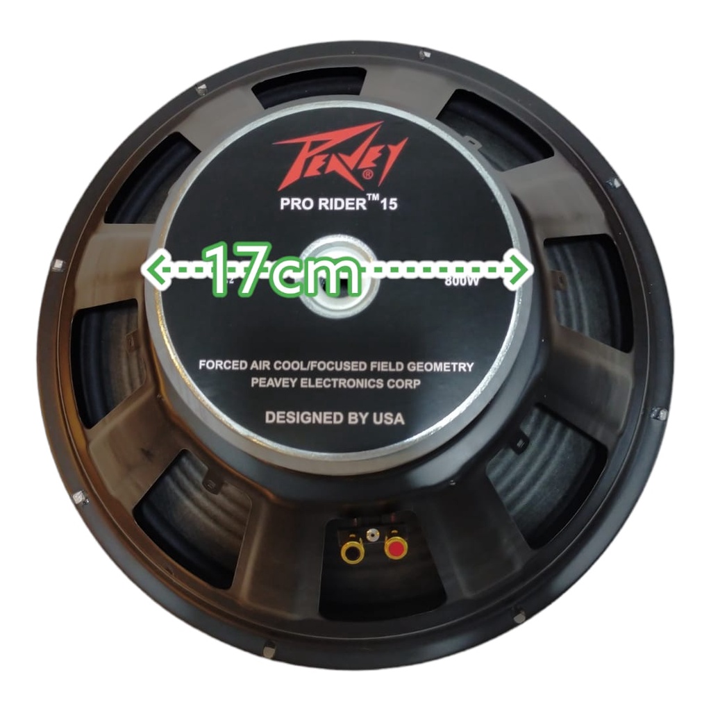 speaker peavey 15 inch pro rider 15 fullrange