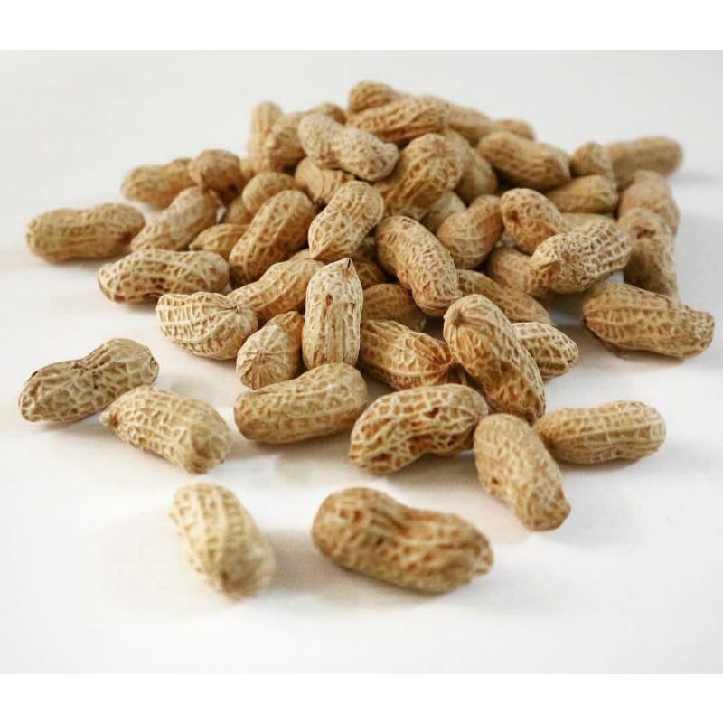 

KACANG KULIT OVEN/KACANG GARUDA