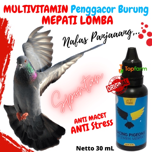 Vitamin Merpati Kolong 30mL / Vitami Merpati Balap / Vitamin Merpati Cepat Bertelur / Vitamin Merpat