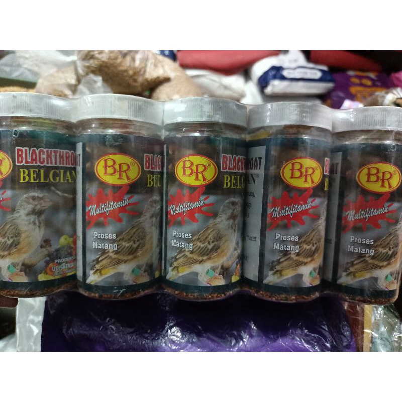 blackthroat pakan burung