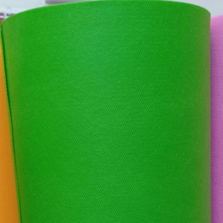 

Pr0Mo Kain Spunbond 100 Gsm Green Screen Premium