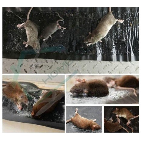 MOUSE NOOSER / KARPET JEBAKAN TIKUS AMPUH BASMI TIKUS