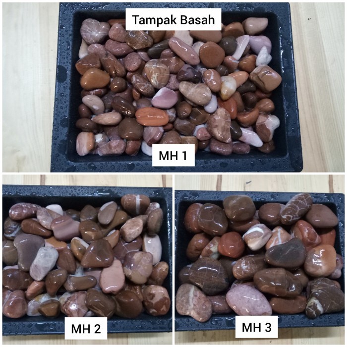[UKALM] Batu Merah Hati 10 Kg (Batu Alam Koral Sikat Hias Taman)