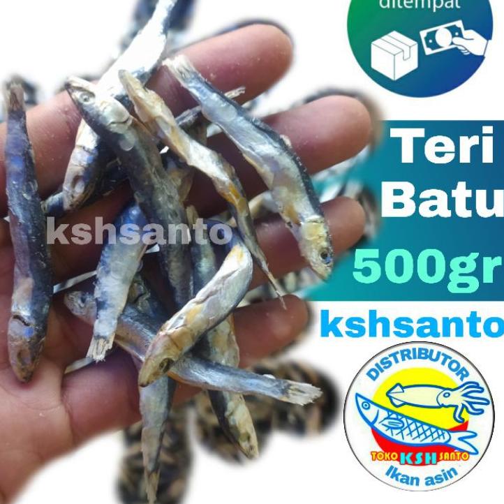 

Limited | [KF7] | ikan asin teri batu super-500gram