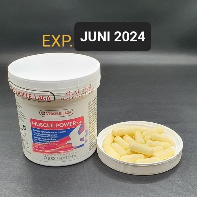 Ovik Original Muscle Power Isi 150 Capsul Versele Laga Untuk Stamina