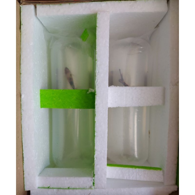 

styrofoam packing aman