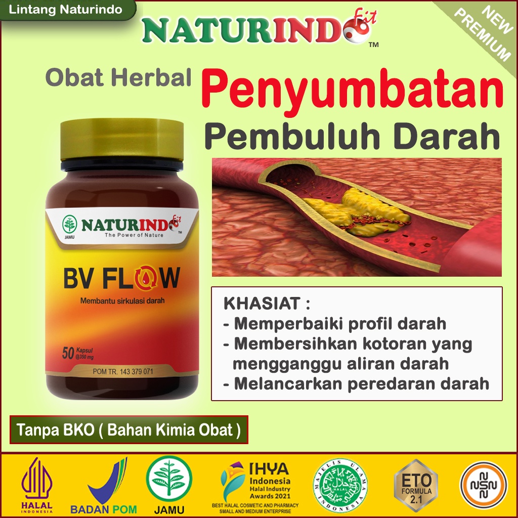 Jual Obat Herbal Penyumbatan Pembuluh Darah Melancarkan Peredaran Darah Bersih Darah Pelancar 3125