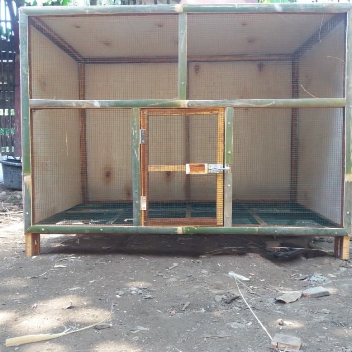 {{{{}}] kandang ayam bongkar pasang