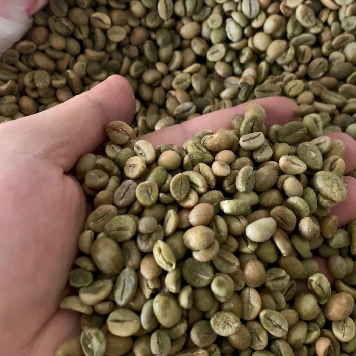 Terlaris ✨ - Robusta Natural Grade 1 / Greenbeans kemasan 1Kg / Biji kopi mentah - Garut 2.1.23