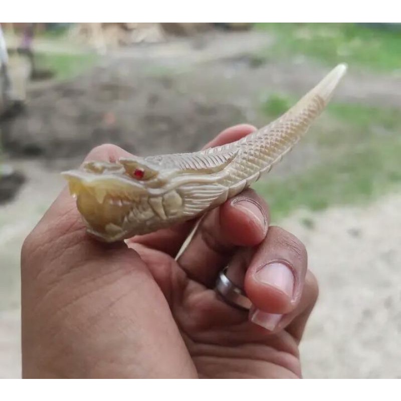 ONCE TANDUK KERBAU BULE UKIRAN NAGA DETAIL