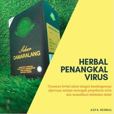 

Terlaris ✨ - Sekar Damaralang - Minuman Kesehatan Tradisional Rasa Kopi 2.1.23