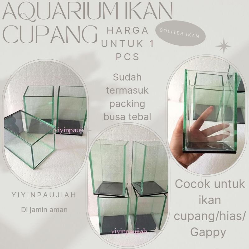Akuarium ikan cupang Soliter ikan cupang soliter ikan cupang Aquarium cupang ukuran 10 10 15