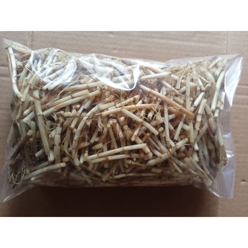 

akar Alang Alang kering 100gr